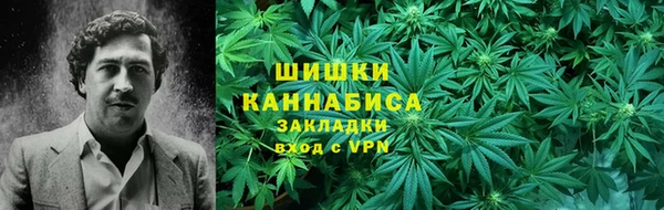 гашик Белокуриха