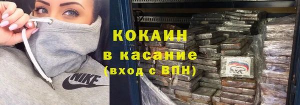 гашик Белокуриха