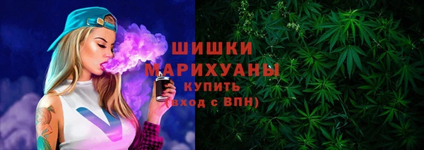 гашик Белокуриха