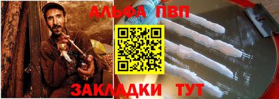 тгк Кингисепп
