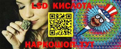 тгк Кингисепп