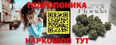 скорость Кимры