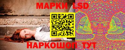 тгк Кингисепп