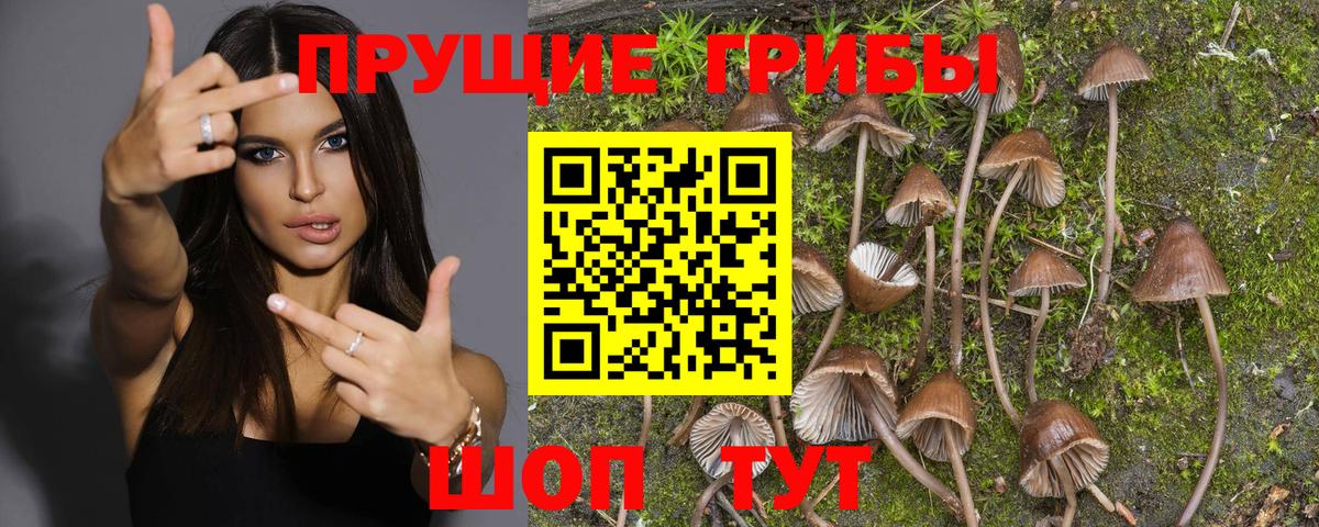 хочу наркоту  Галлюциногенные грибы Cubensis  Пыть-Ях  Вход с VPN  Псилоцибиновые грибы Magic Shrooms 