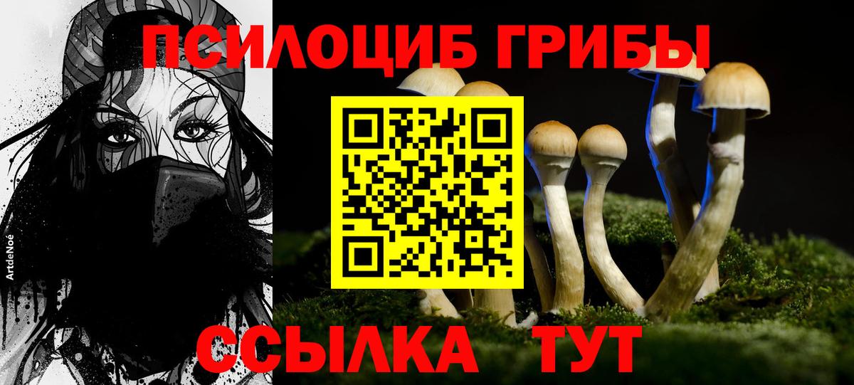 Галлюциногенные грибы GOLDEN TEACHER Пыть-Ях